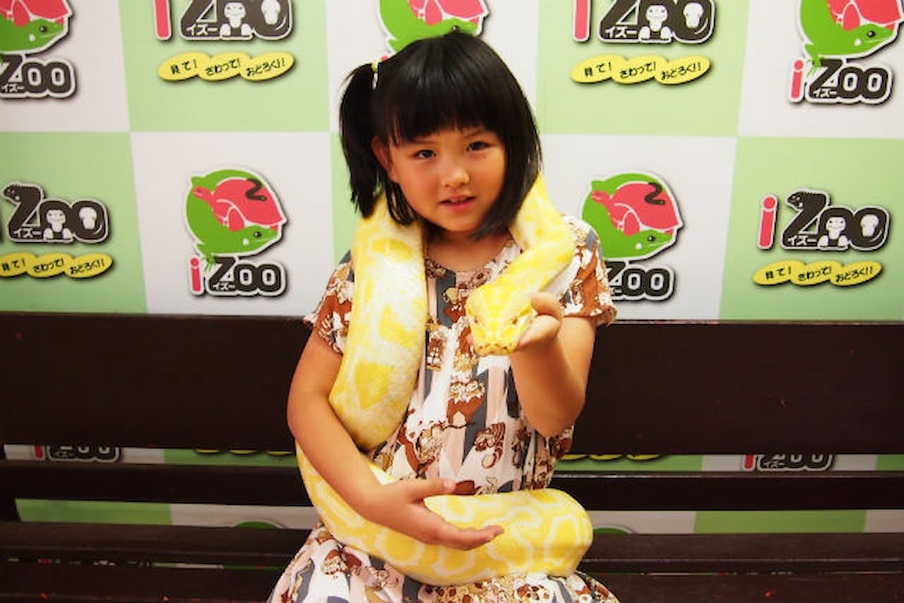 iZoo Sensory Zoo Ticket - image 6